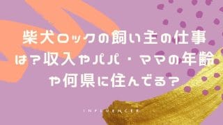 柴犬ロックの飼い主の仕事は？収入やパパ・ママの年齢や何県に住んでる？