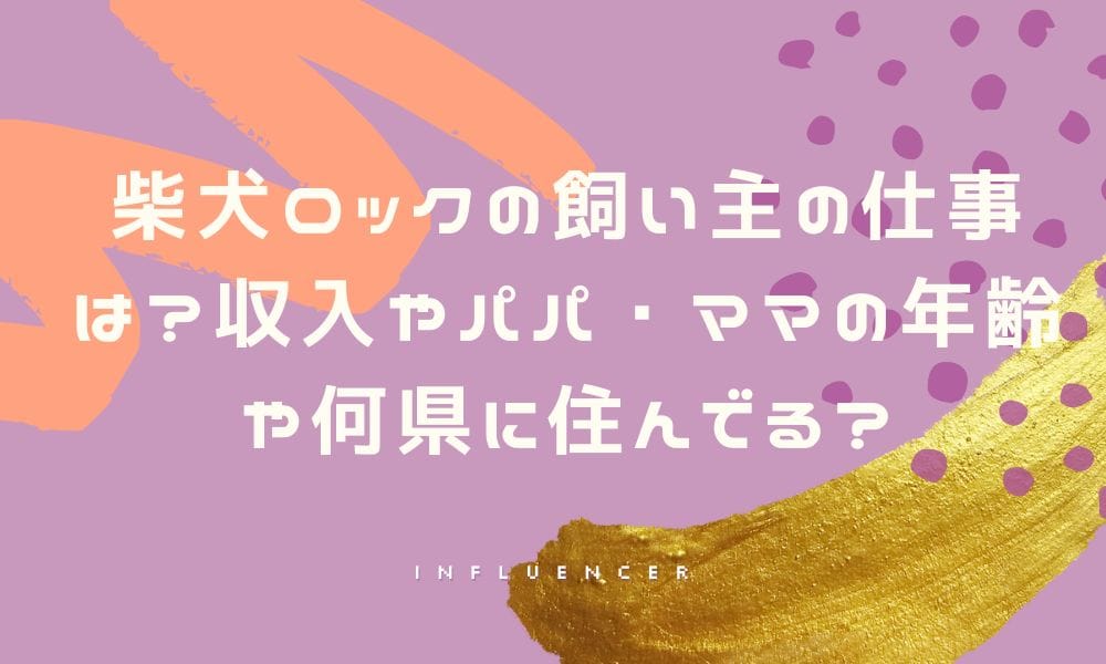 柴犬ロックの飼い主の仕事は？収入やパパ・ママの年齢や何県に住んでる？