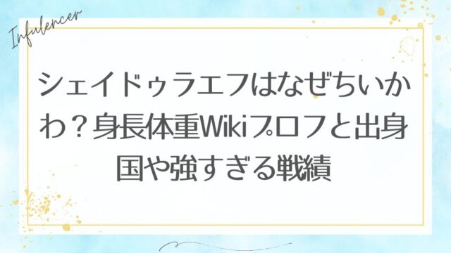 シェイドゥラエフはなぜちいかわ？身長体重Wikiプロフと出身国や強すぎる戦績